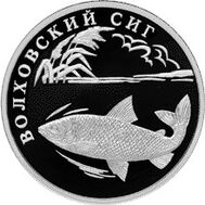  2005. 1 рубль. Волховский сиг, фото 1 