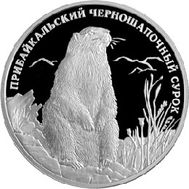  2008. 2 рубля. Прибайкальский черношапочный сурок, фото 1 