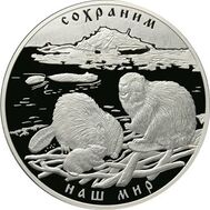  2008. 100 рублей. Речной бобр, фото 1 