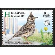  2017. Беларусь . Птица года. Хохлатый жаворонок. 1 Марка., фото 1 