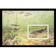  1997. Беларусь. 221. Фауна. Рыбы. Блок., фото 1 