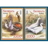  2009. Беларусь. 766-767. Фауна. Домашние птицы. 2 Марки., фото 1 