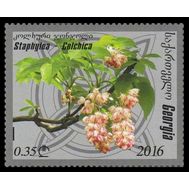  2016. Грузия. 683. Флора. Колхидская клекачка. 1 Марка., фото 1 