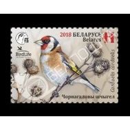  2018. Беларусь. 1243. Фауна. Птица года. Черноголовый щегол. 1 Марка. MNH., фото 1 