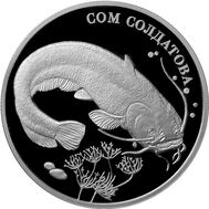  2 рубля 2014 «Сом Солдатова», фото 1 
