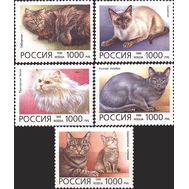  1996. 266-270. Домашние кошки. 5 марок, фото 1 