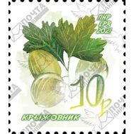  2021. ЛНР. 457. Стандартная почтовая марка «Крыжовник», фото 1 