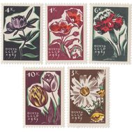  1965. СССР. 3102-3106. Цветы. 5 марок, фото 1 