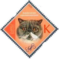  2024. Приднестровье. 1287. Породы кошек. Экзотическая короткошерстная, фото 1 