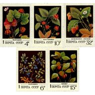  1982. СССР. 5205-5209. Дикорастущие ягоды. 5 марок, фото 1 
