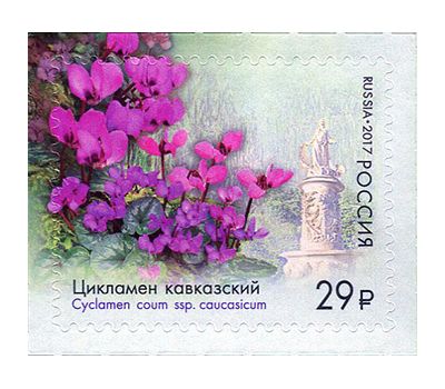 Лист «Флора России. К 125-летию Сочинского парка «Дендрарий» 2017, фото 5 