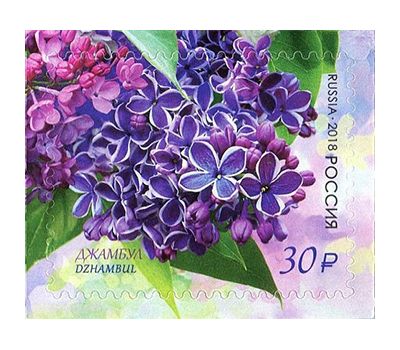  Лист с марками «Флора России. Сирень» Россия, 2018, фото 5 