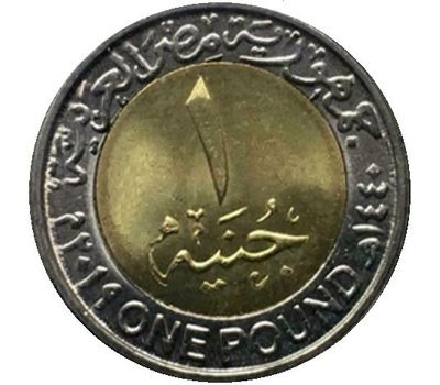  Монета 1 фунт 2019 «Фермы солнечной энергии в Асуане» Египет, фото 2 