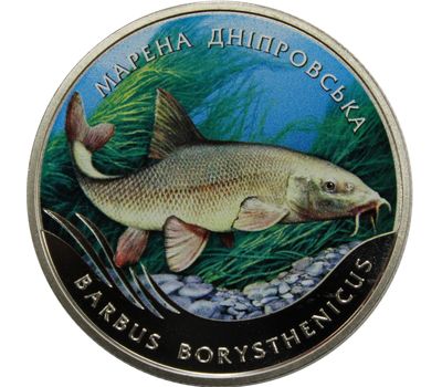  Монета 2 гривны 2018 «Марена днепровская» Украина, фото 1 