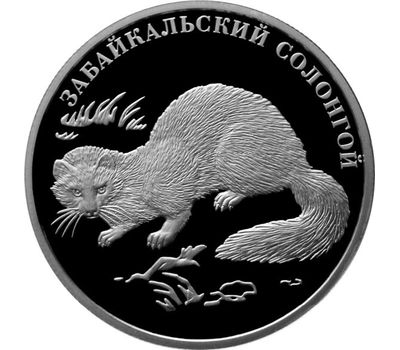  2 рубля 2012 Красная книга: «Белоклювая гагара, Усач и Солонгой» (3 монеты, серебро), фото 4 