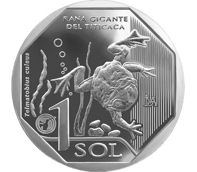  Монета 1 соль 2019 «Красная книга. Лягушка. Титикакский свистун» Перу, фото 1 