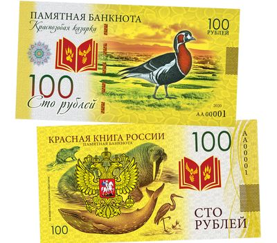  Банкнота 100 рублей «Краснозобая казарка. Красная книга России», фото 1 
