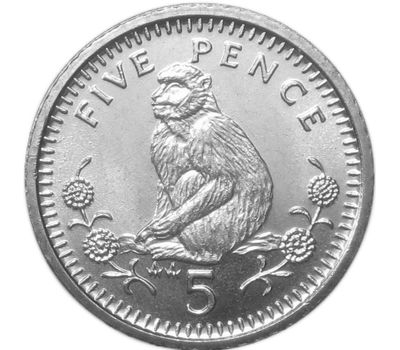  Монета 5 пенсов 1990 Гибралтар, фото 1 