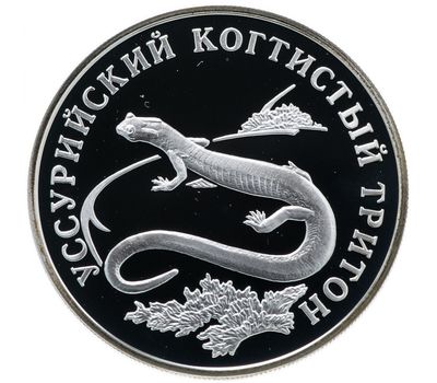  Серебряная монета 1 рубль 2006 «Уссурийский когтистый тритон», фото 1 