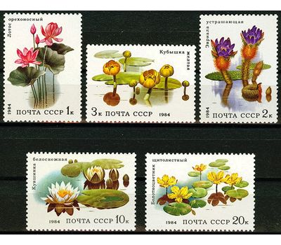  5 почтовых марок «Водные растения» СССР 1984, фото 1 