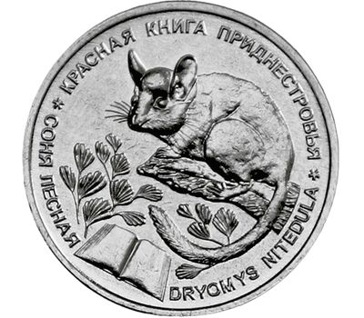  Монета 1 рубль 2023 «Соня лесная. Красная книга» Приднестровье, фото 1 