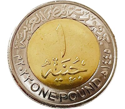 Монета 1 фунт 2023 «50 лет Великой Октябрьской Победе» Египет, фото 2 