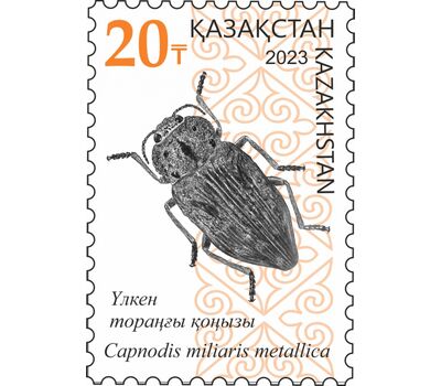  3 почтовые марки «Насекомые. Равнокрылые и жесткокрылые» Казахстан 2023, фото 3 