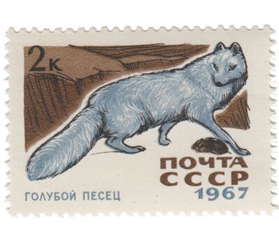 7 почтовых марок «Пушные промысловые звери» СССР 1967, фото 2 