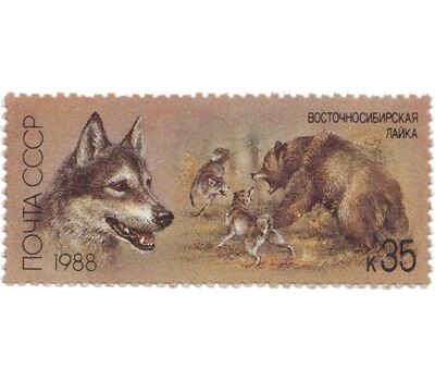  5 почтовых марок «Отечественные породы охотничьих собак» СССР 1988, фото 5 