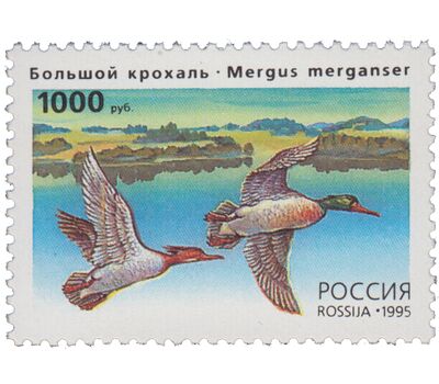  3 почтовые марки «Утки» 1995, фото 4 