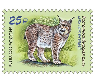  2 почтовые марки «Совместный выпуск России и Лаоса. Фауна» 2025, фото 3 